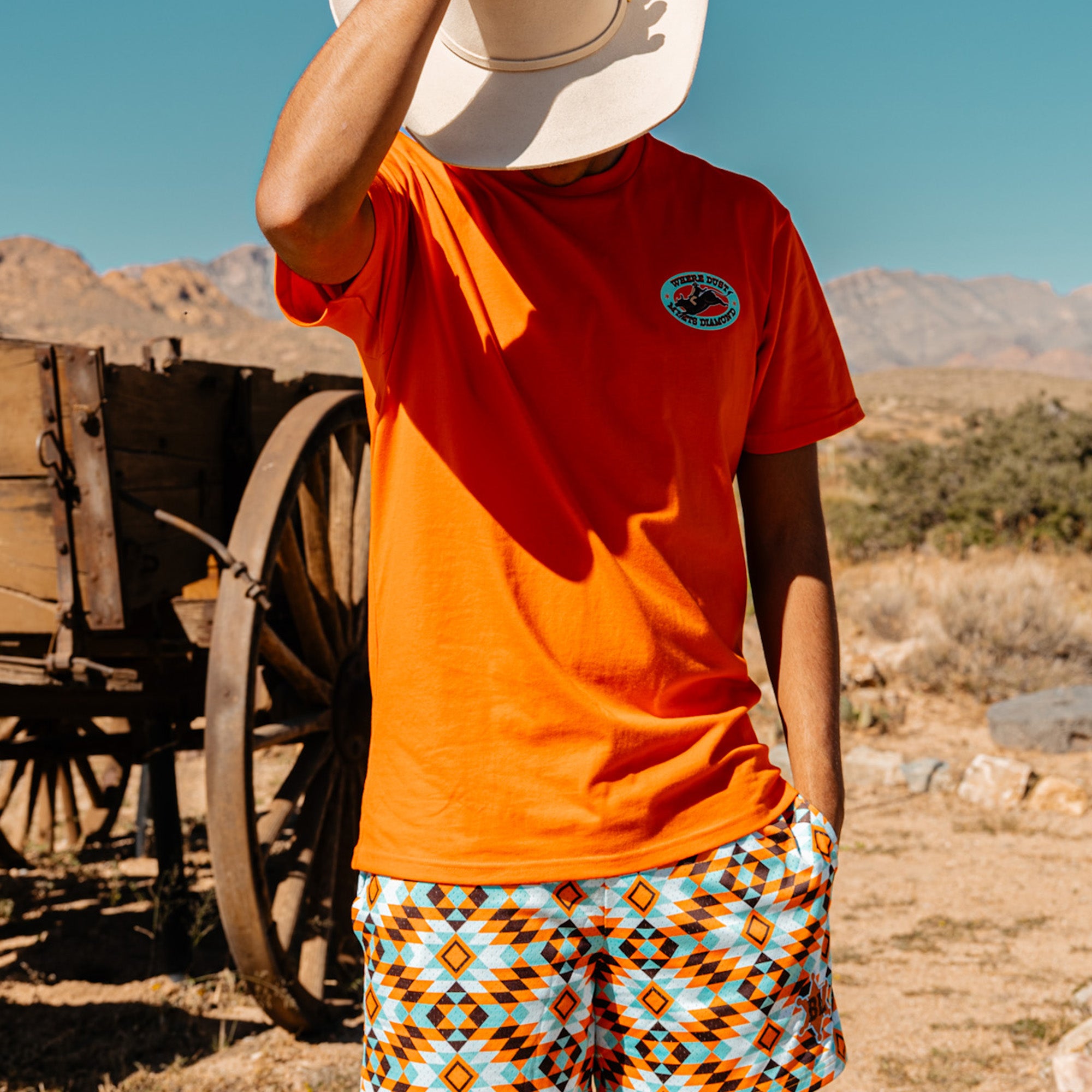 Dust Meets Diamond Shorts - Image 2